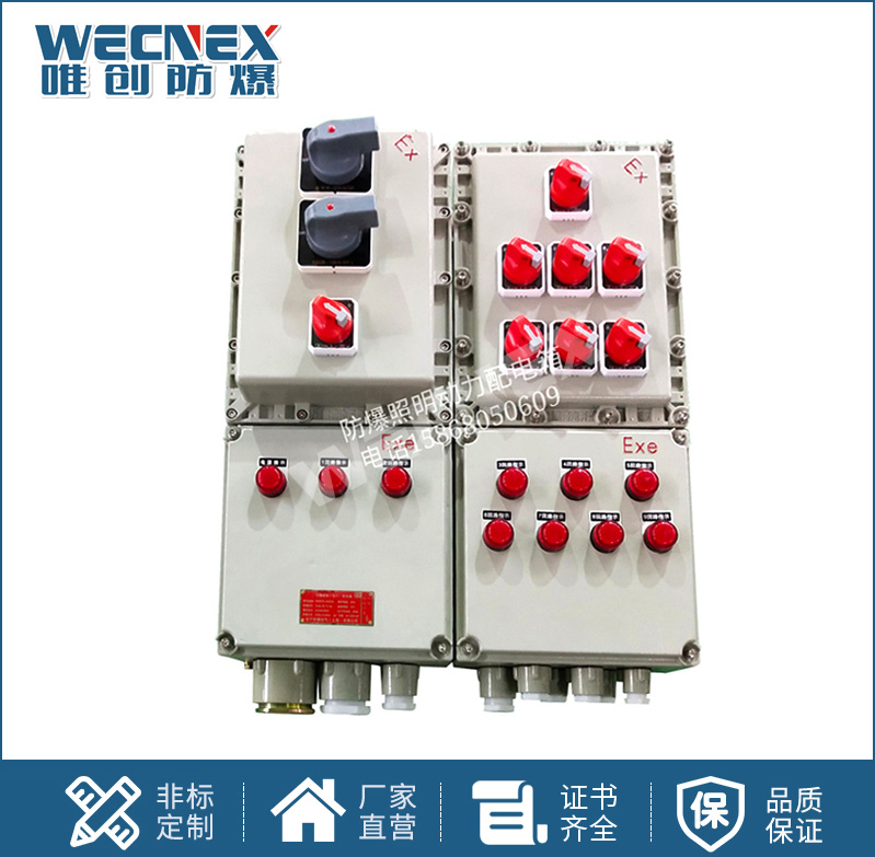 BXX 防爆動力檢修箱