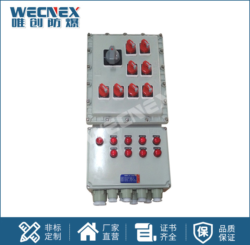 BXX 防爆動(dòng)力檢修箱