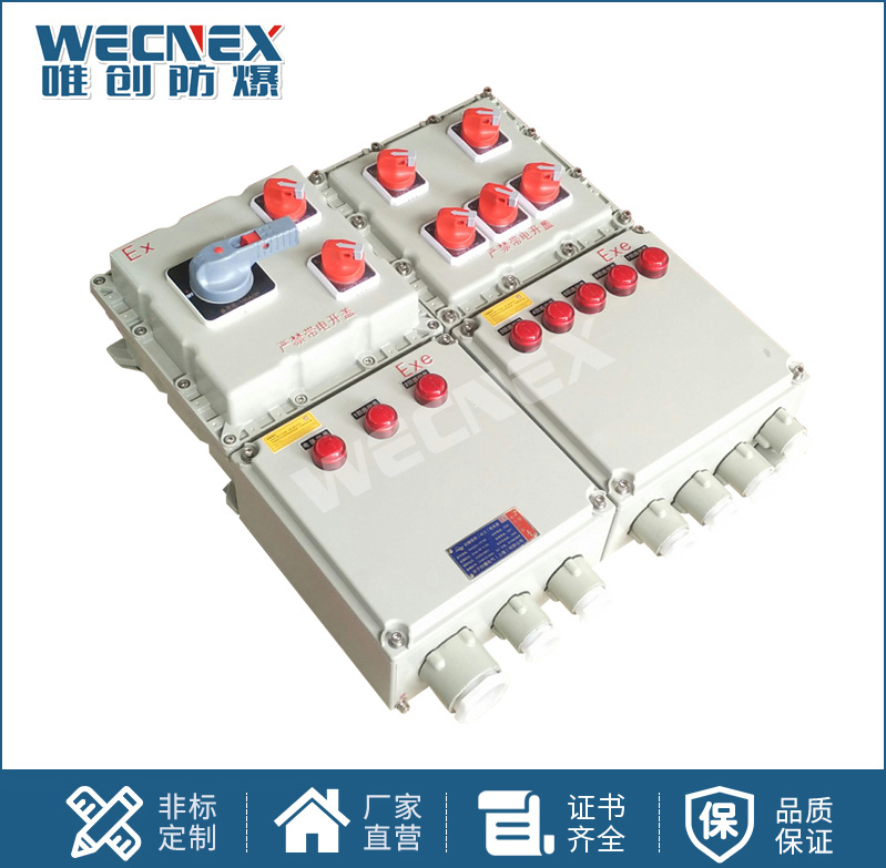 BXX 防爆動(dòng)力檢修箱