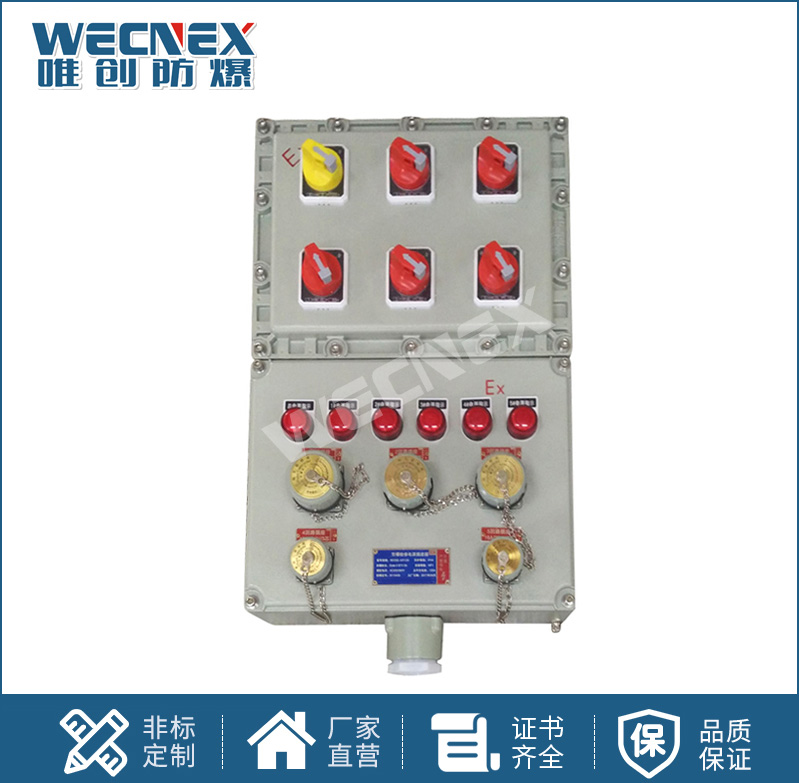 BXS防爆檢修電源插座箱