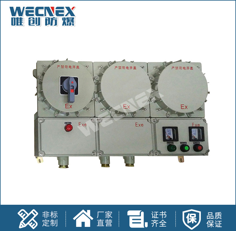 BXX 防爆動(dòng)力檢修箱