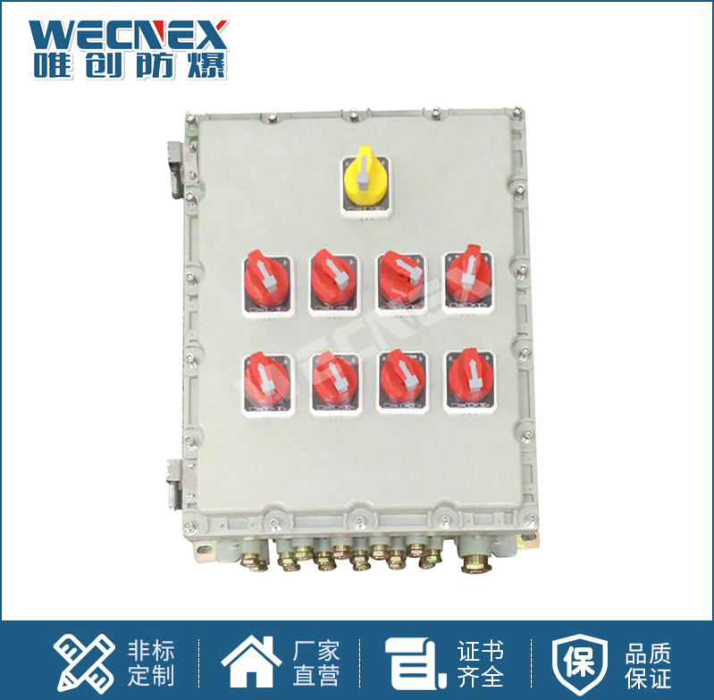 BXX 防爆動(dòng)力檢修箱