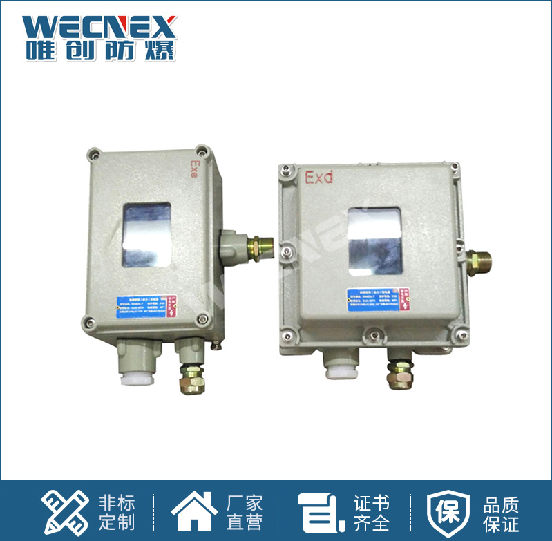 BXK 防爆儀表箱
