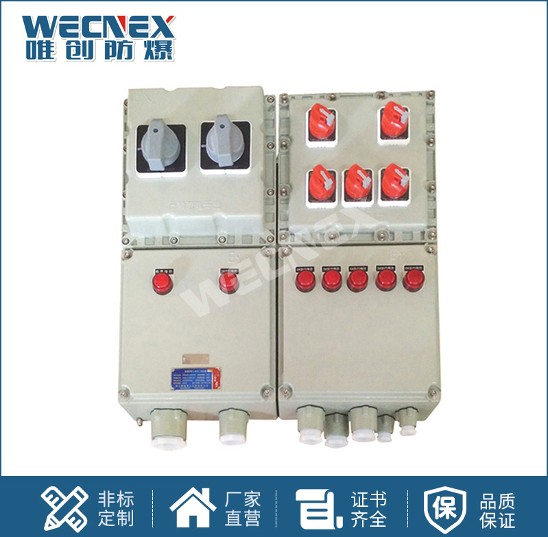 BXX 防爆動力檢修箱