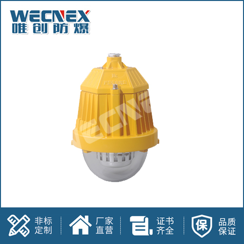 免維護(hù)防爆燈DFC-8765A 